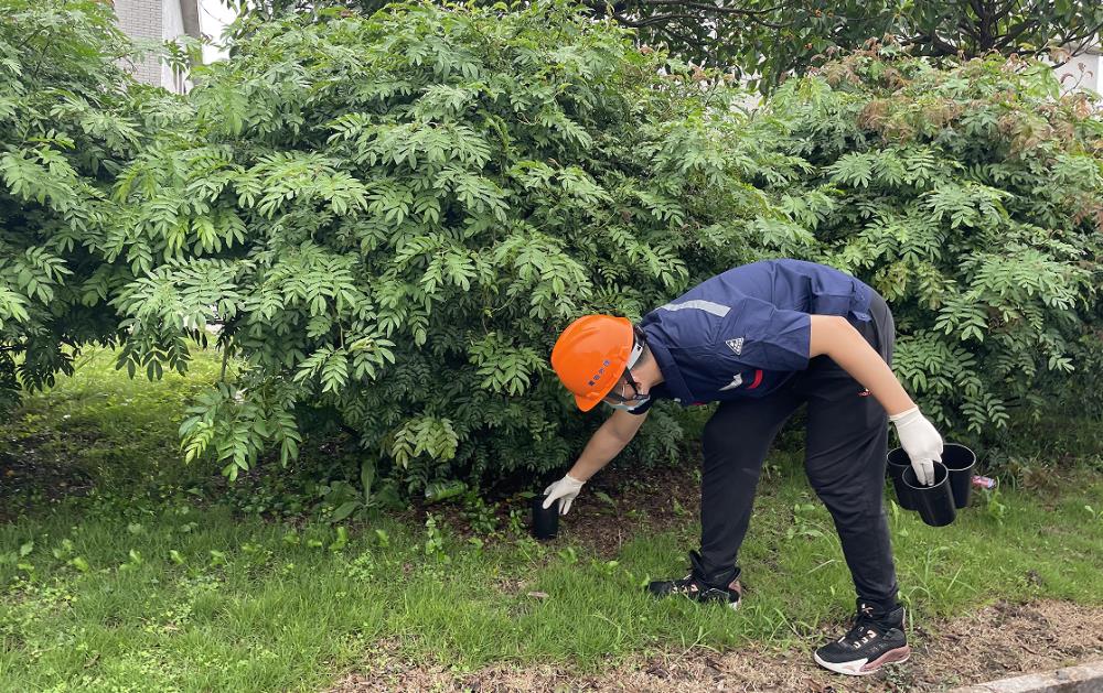 1655198676800.jpg 1655198676800.jpg