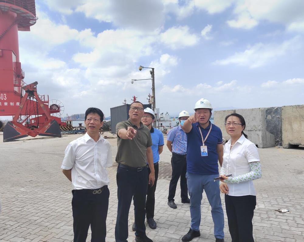 周敏調研秀嶼港口.jpg 周敏調研秀嶼港口.jpg