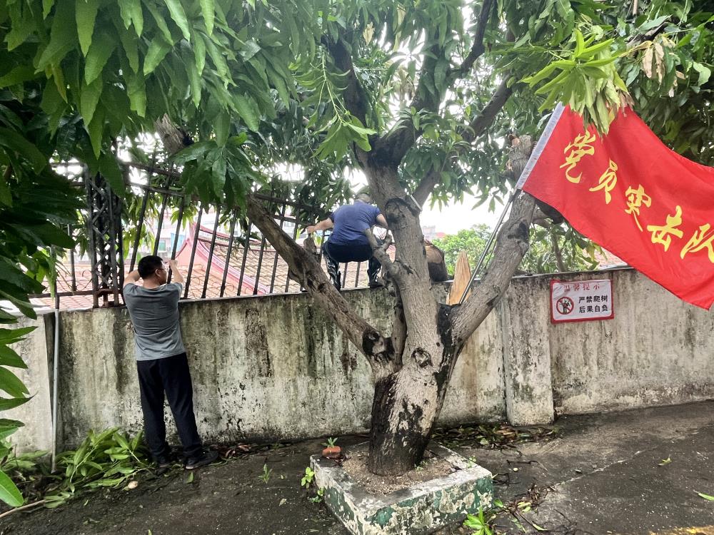 微信圖片_20230730202142.jpg 微信圖片_20230730202142.jpg