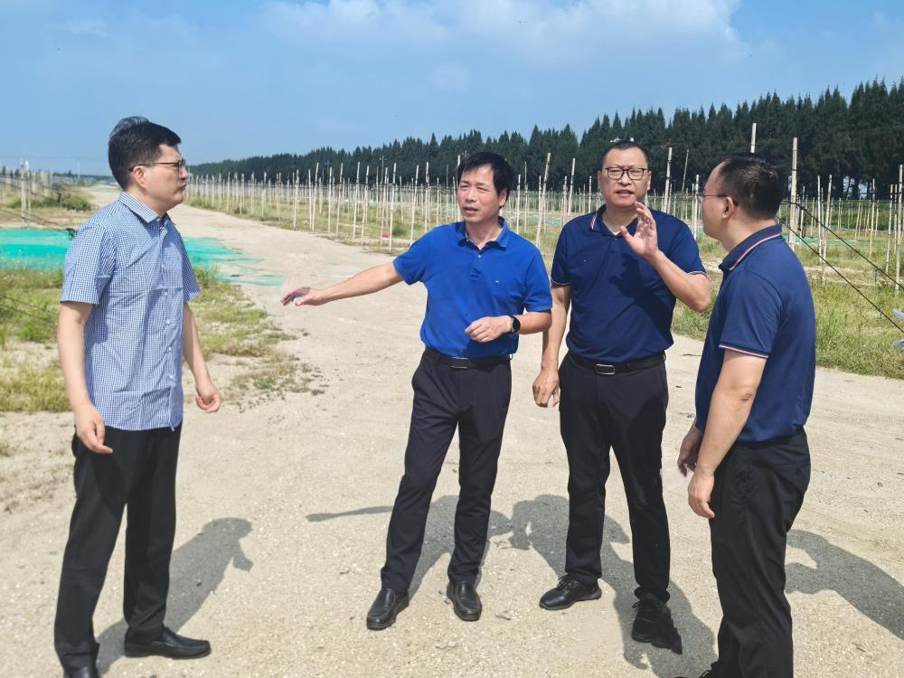 微信圖片_20240918093731.jpg 微信圖片_20240918093731.jpg